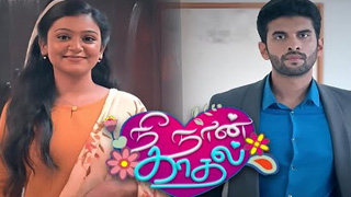 20-11-2023 Nee Naan Kaadhal-Vijay tv Serial